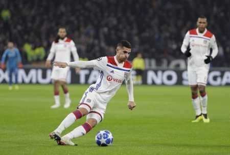 仅表达了对 仅表达了对